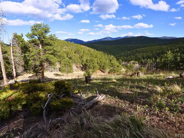 000 Turkey Gulch Road, Idaho Springs, CO 80452