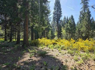 LOT 80 Panther Meadow Dr, McCloud, CA 96057