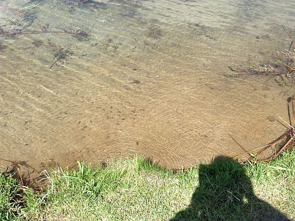 Sandy beach