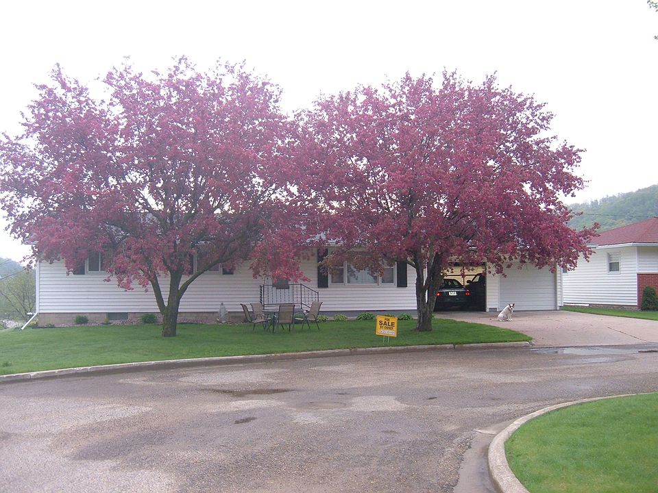 2nd image of 1460 Westgate Dr
