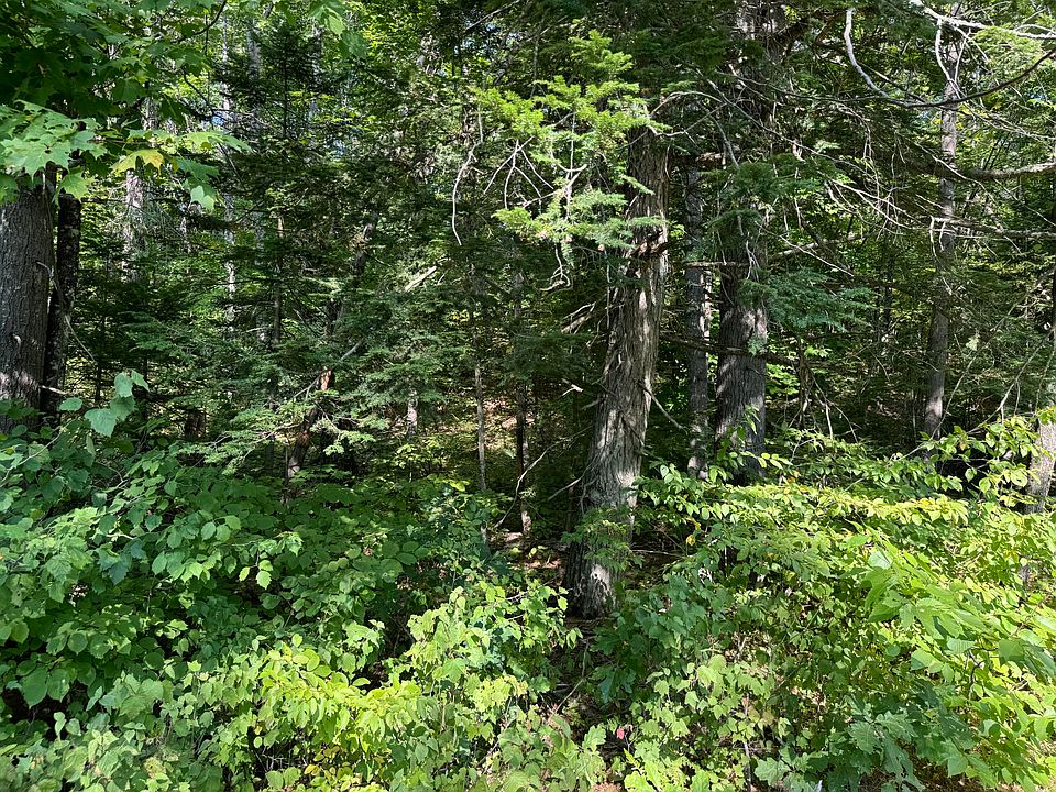 2nd image of Lot 8 Sportsman/Moose Drive