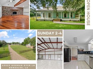 43029 Norman Dyer Ln, Gonzales, LA 70737