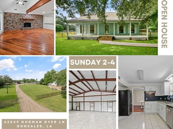 43029 Norman Dyer Ln, Gonzales, LA 70737