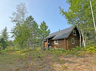 9007 Swamp Lakes Rd, Newberry, MI 49868