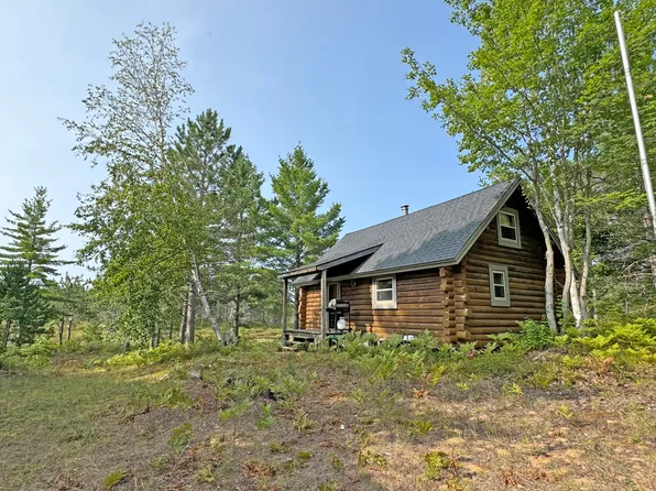 9007 Swamp Lakes Rd, Newberry, MI 49868