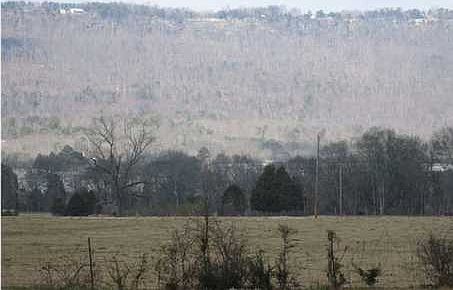 2nd image of Piney Rd