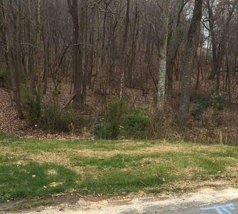 5th image of 0 Greenmont Dr Lot 1-2-3