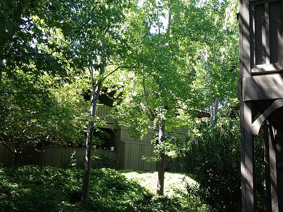 4th image of 14660 Big Basin Way APT D