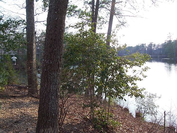 4th image of 109 Falling Creek Cir
