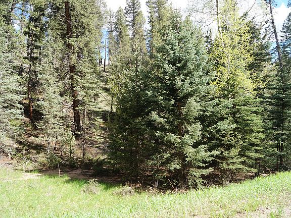 5th image of 1210 E Bison Creek Trl