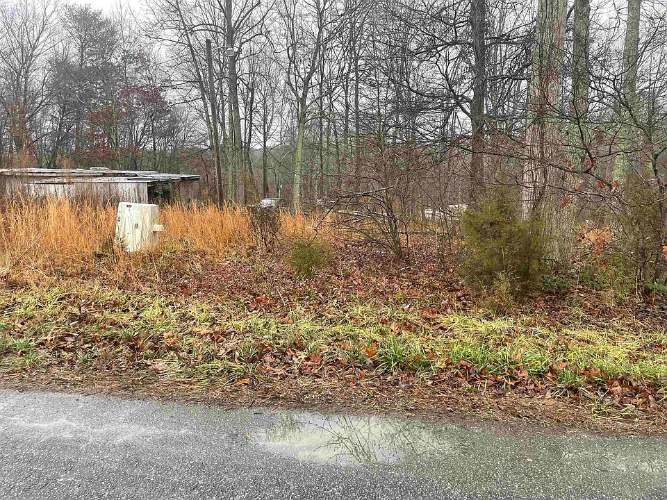 2nd image of 206 Wilderness Trl