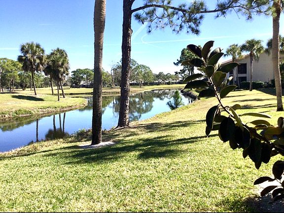 View from lanai