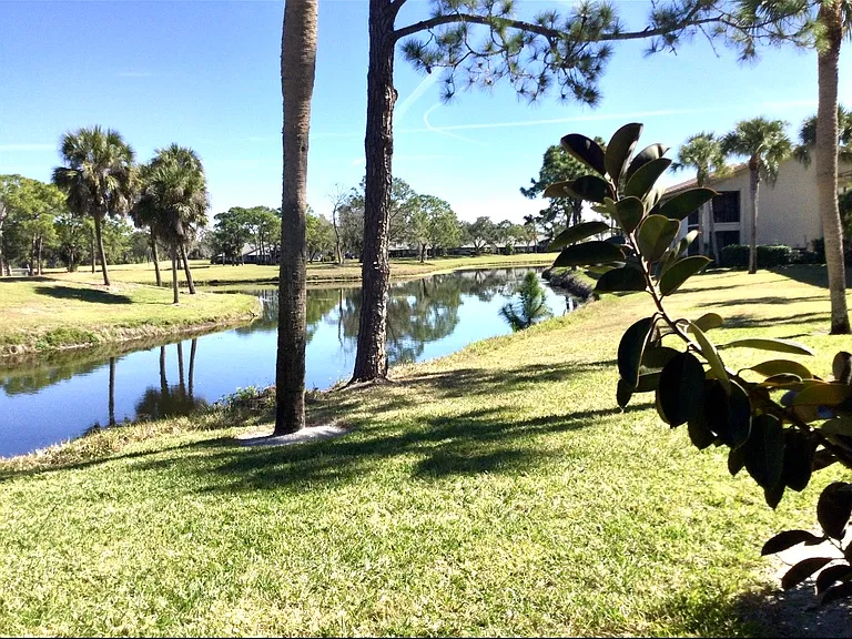 View from lanai