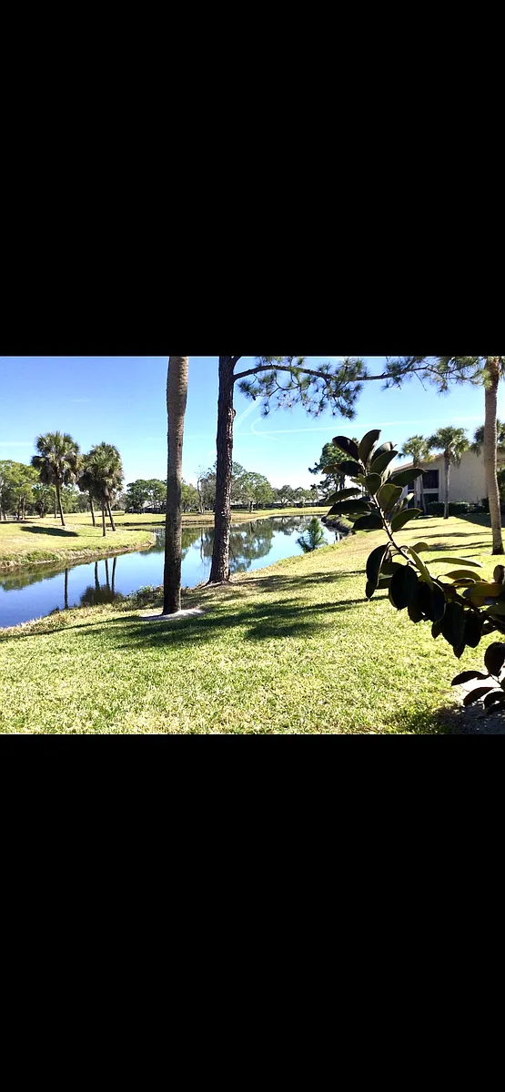 View from lanai - 4608 Weybridge St #4608