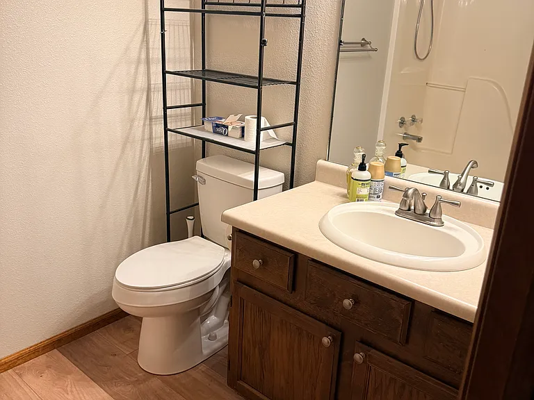 Hall bathroom
