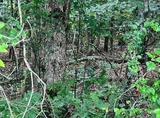 11 Willie Prigmore Rd, Decatur, TN 37322