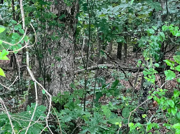 11 Willie Prigmore Rd, Decatur, TN 37322