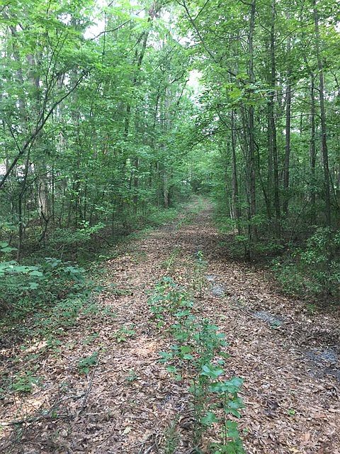 1st image of 16369 Ga Highway 315