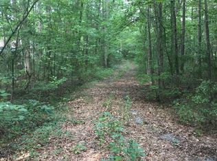 16369 Ga Highway 315, Ellerslie, GA 31807