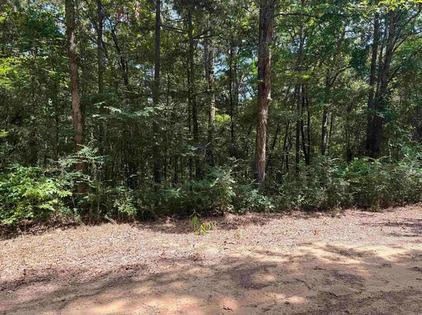116-117 Del Rio Way, Higden, AR 72067