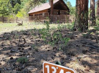 1341 Bird Point Dr, Cotopaxi, CO 81223