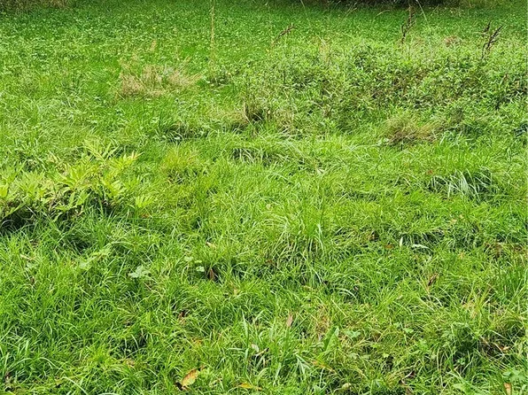 LOT Two Cortland Rd, Dryden, NY 13053