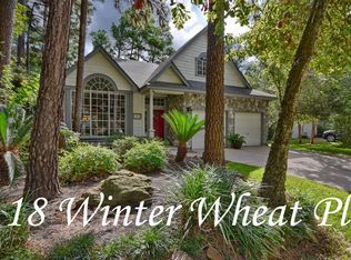 18 Winter Wheat Pl, Spring, TX 77381