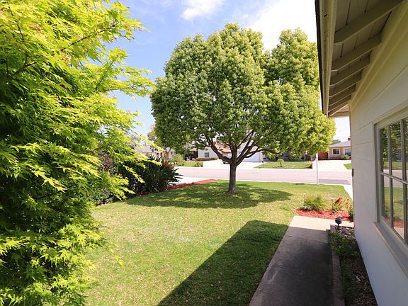 3rd image of 1525 N Miramonte Ave
