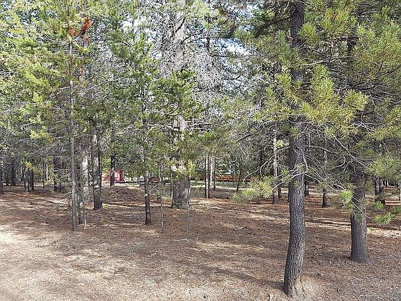 NW corner of property