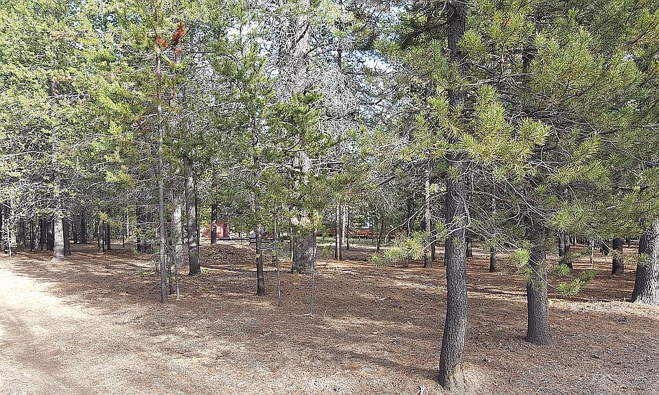 NW corner of property