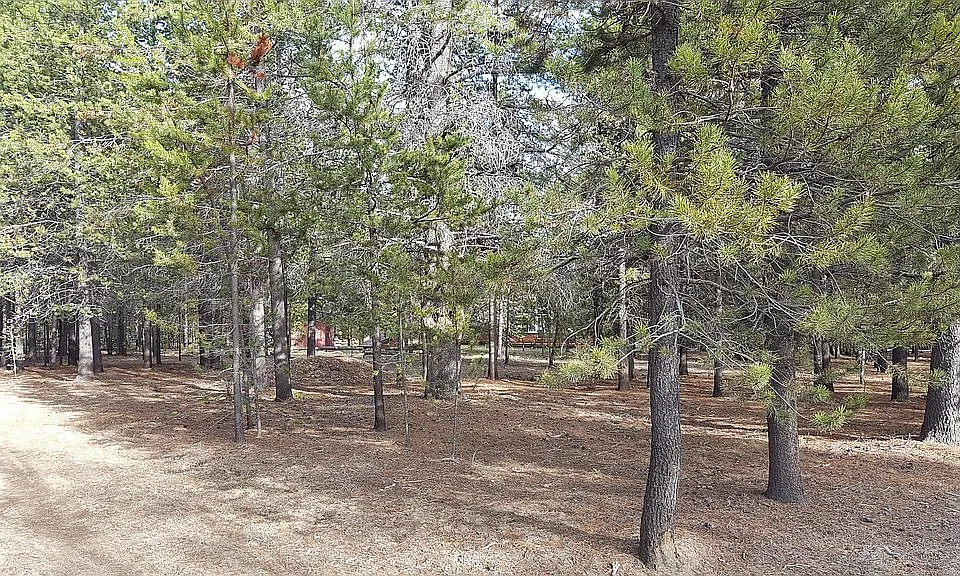 NW corner of property