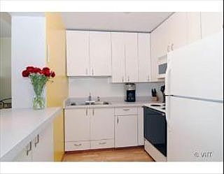 3rd image of 1360 N Sandburg Ter APT 1408