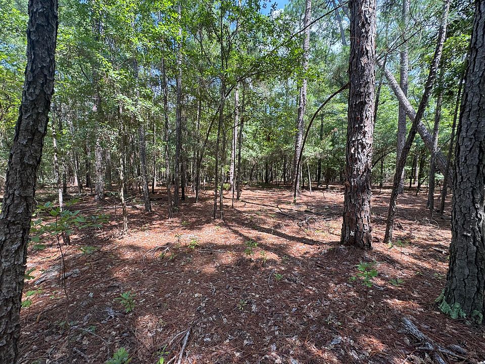 2nd image of 5B Tinker Creek Rd