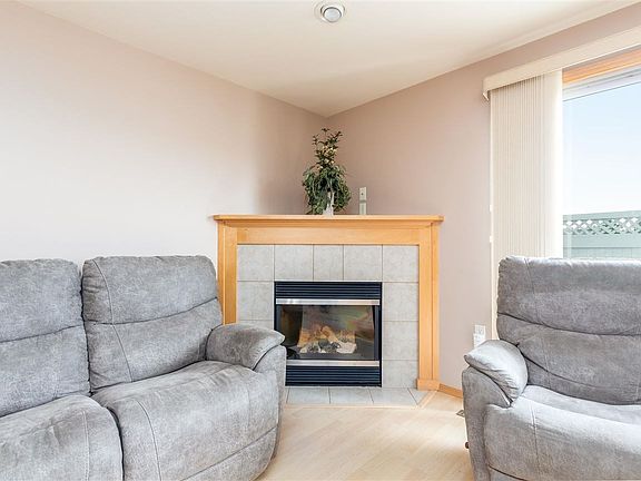 Gas Log Fireplace