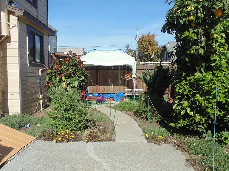 Shared Back yard