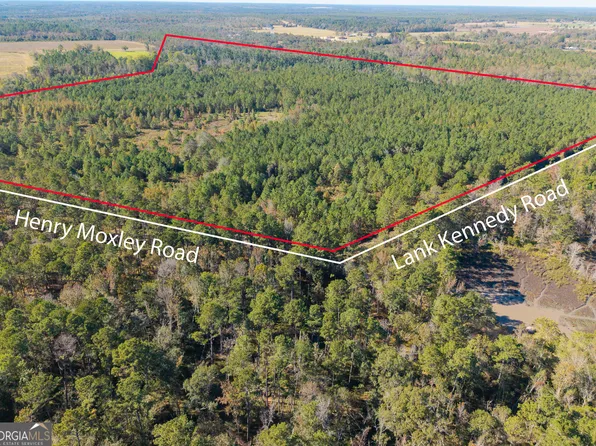 1 Henry Moxley Rd, Cobbtown, GA 30420