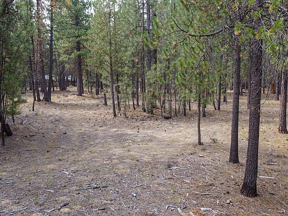 5th image of 15035 Black Cottonwood