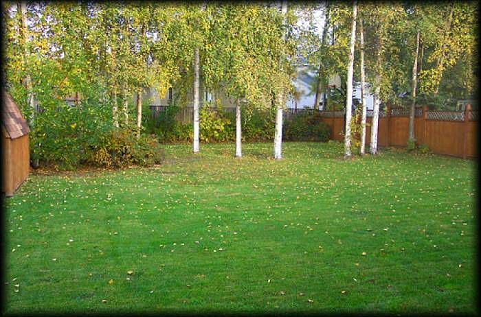 Giant fenced yard