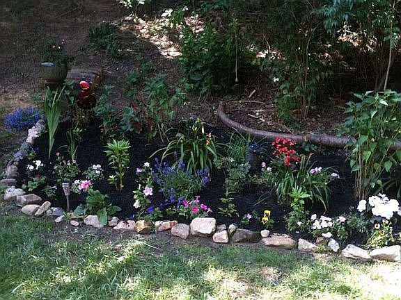 Back yard garden