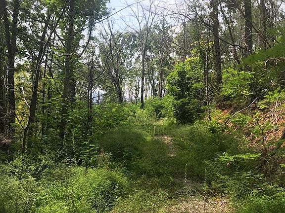 5th image of 833 Park Dr