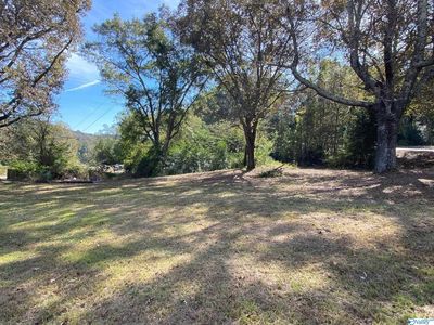 0 W Chapel Hill Rd SW, Decatur, AL, 35603