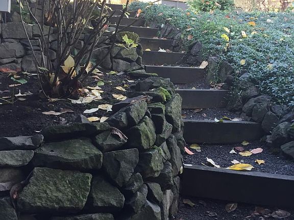 Side yard