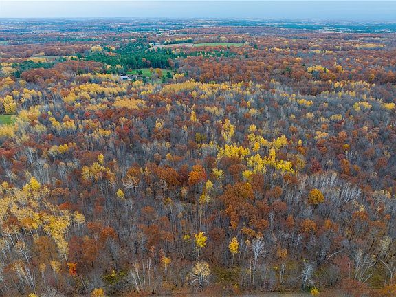 5th image of 11.05 Acres Say Hi Road