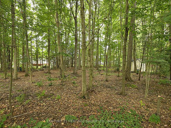5th image of 130 Hedgewood Ln