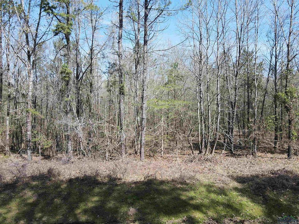 County Road 4452, Bivins, TX 75555 MLS 20241623 Zillow