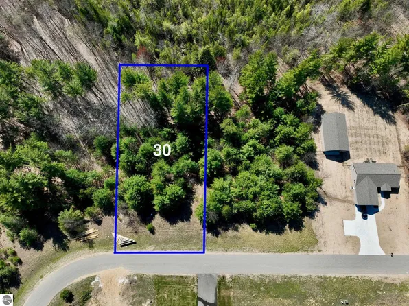 6405 Jeffrey Pl Lot 30, Grawn, MI 49637