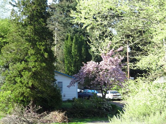 5th image of 4305 NE 88th St