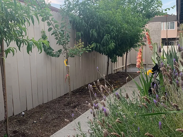 26551 Briarwood Ln — Photo 10
