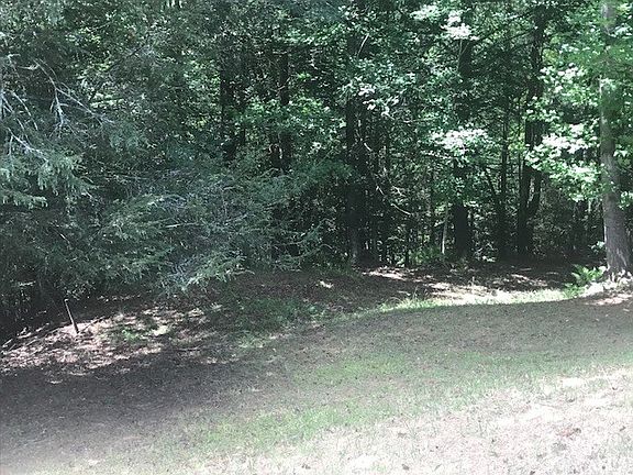 5th image of 401 Mount Olive Ln
