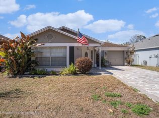 312 Benson St, Valrico, FL 33594